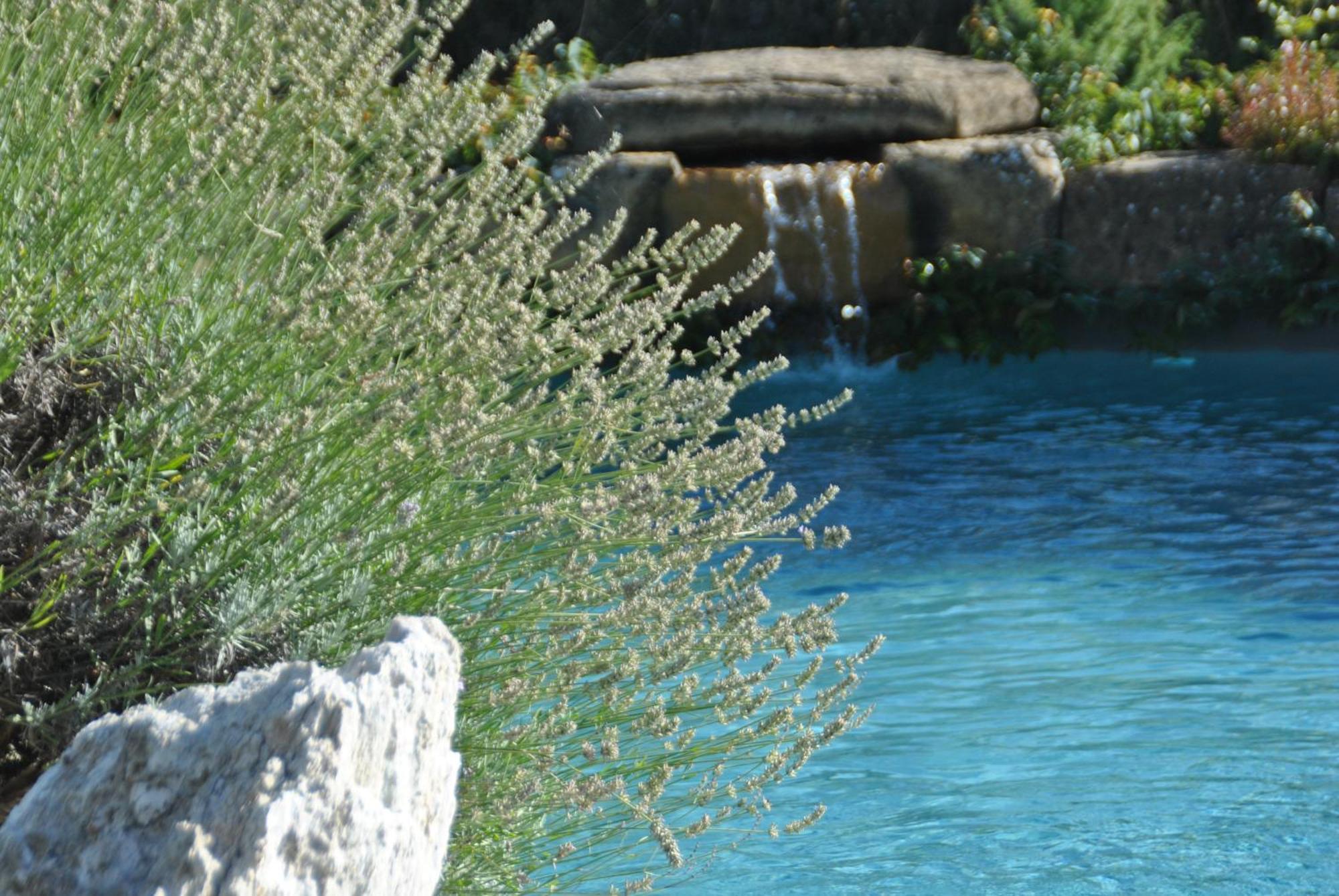 Agriturismo Campo Del Pillo Pietradura Ngoại thất bức ảnh