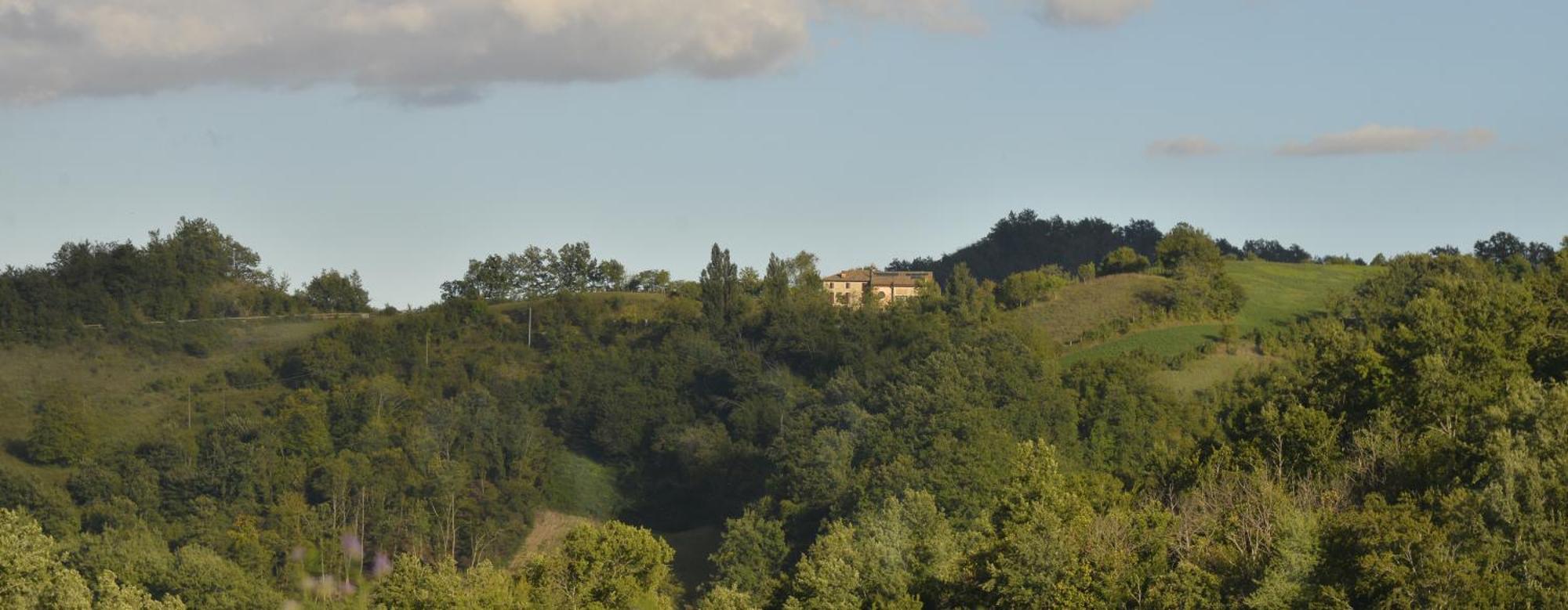 Agriturismo Campo Del Pillo Pietradura Ngoại thất bức ảnh