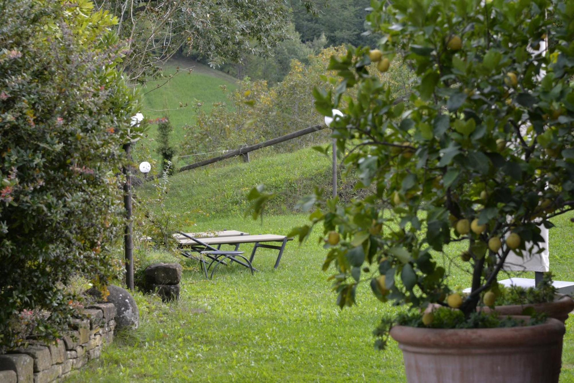 Agriturismo Campo Del Pillo Pietradura Ngoại thất bức ảnh