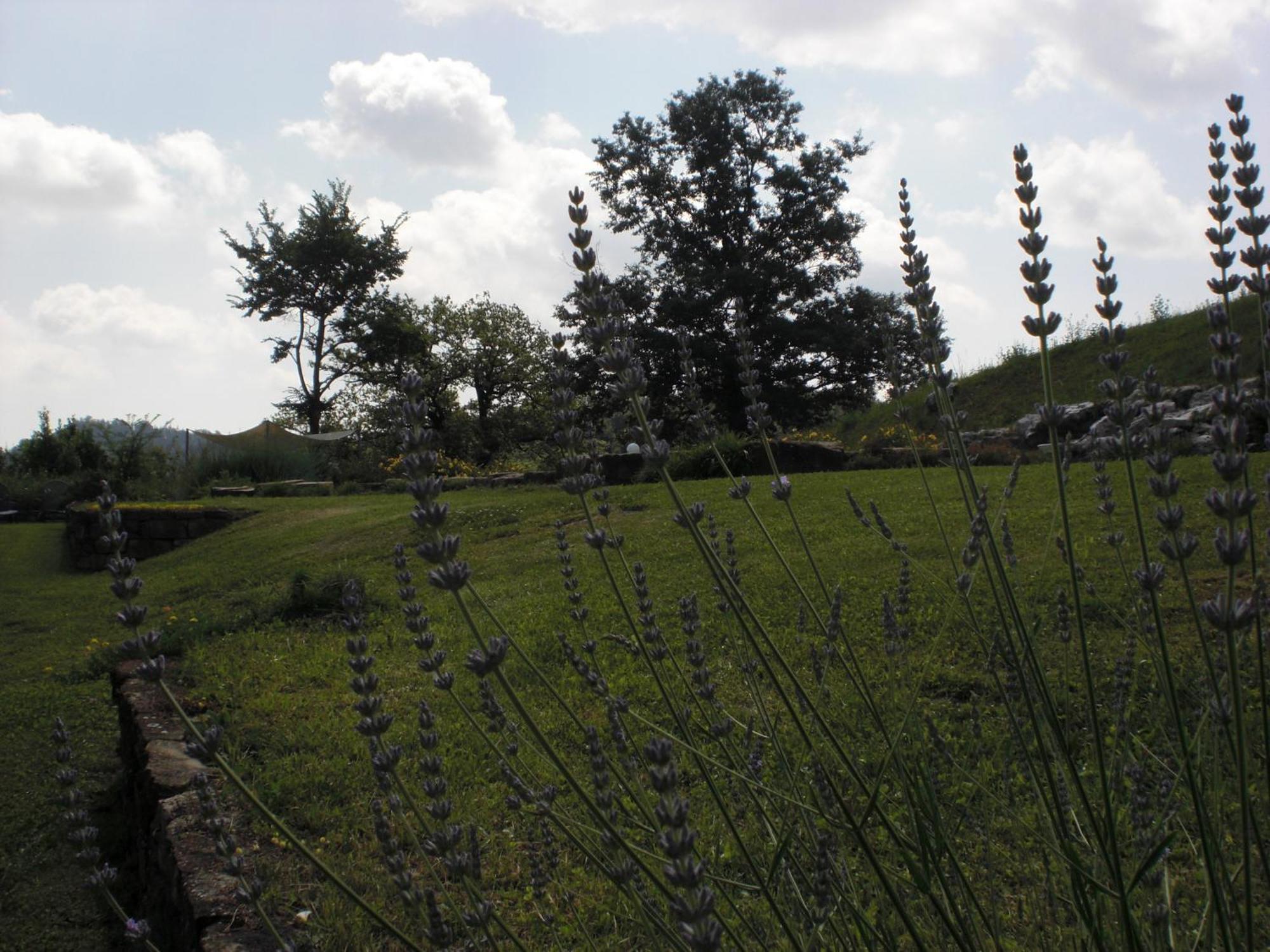 Agriturismo Campo Del Pillo Pietradura Ngoại thất bức ảnh